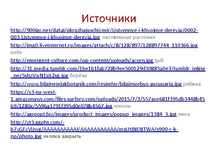 Источники http: //900 igr. net/datai/okruzhajuschij-mir/Listvennye-i-khvojnye-derevja/0002003 -Listvennye-i-khvojnye-derevja. jpg лиственные растения http: //img 0. liveinternet. ru/images/attach/c/8/128/897/128897744_110366.