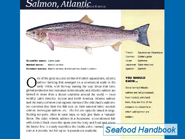 Seafood Handbook 