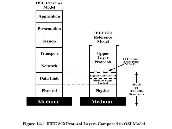 IEEE 802 Protocol Layers 