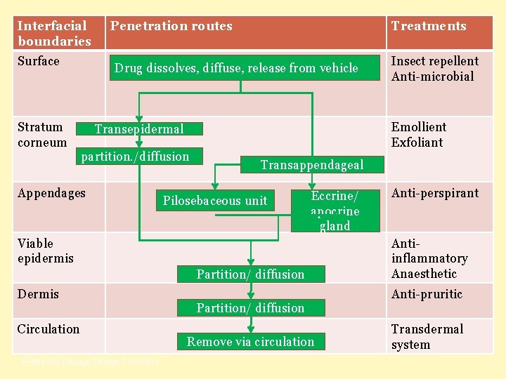Interfacial boundaries Surface Stratum corneum Penetration routes Treatments Drug dissolves, diffuse, release from vehicle