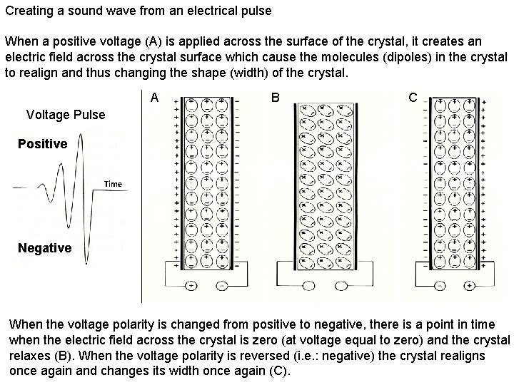 Creating a sound wave from an electrical pulse When a positive voltage (A) is