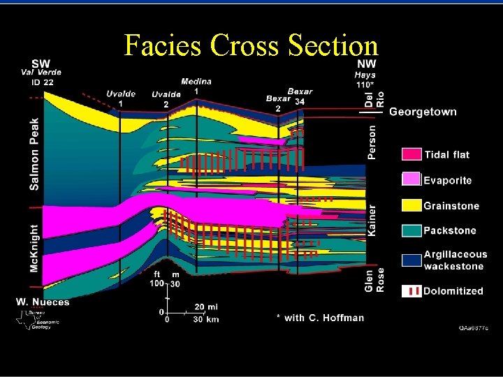 Facies Cross Section 