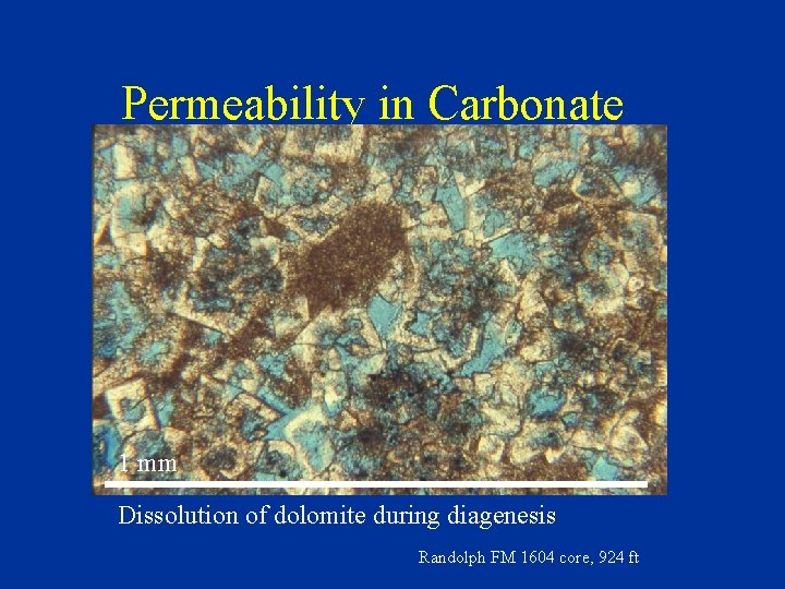 Permeability in Carbonate 1 mm Dissolution of dolomite during diagenesis Randolph FM 1604 core,