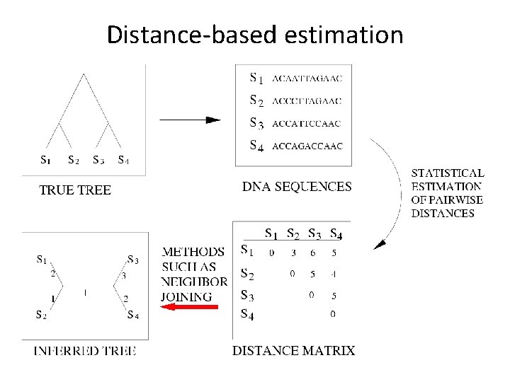 Distance-based estimation 