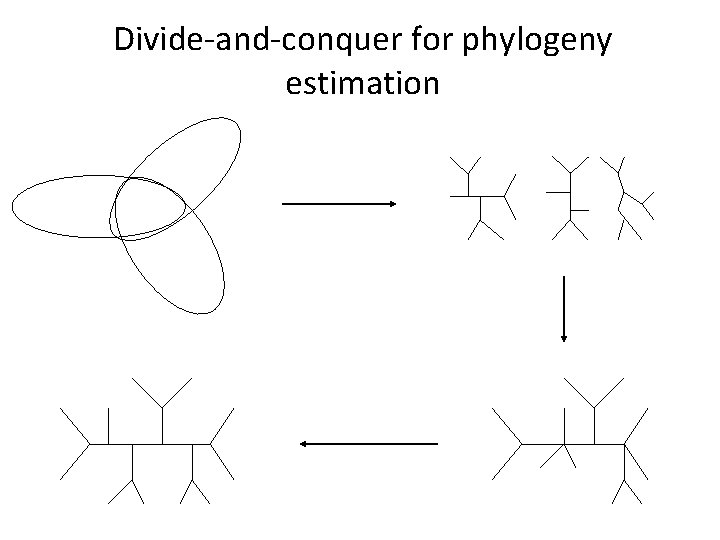 Divide-and-conquer for phylogeny estimation 