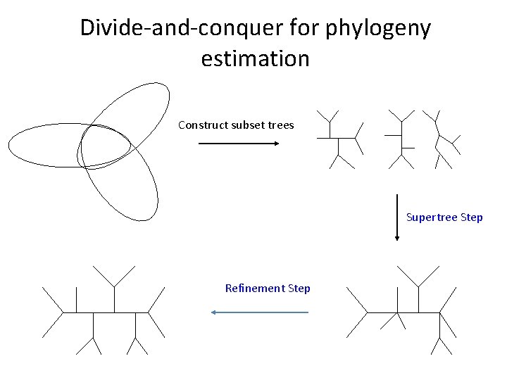 Divide-and-conquer for phylogeny estimation Construct subset trees Supertree Step Refinement Step 