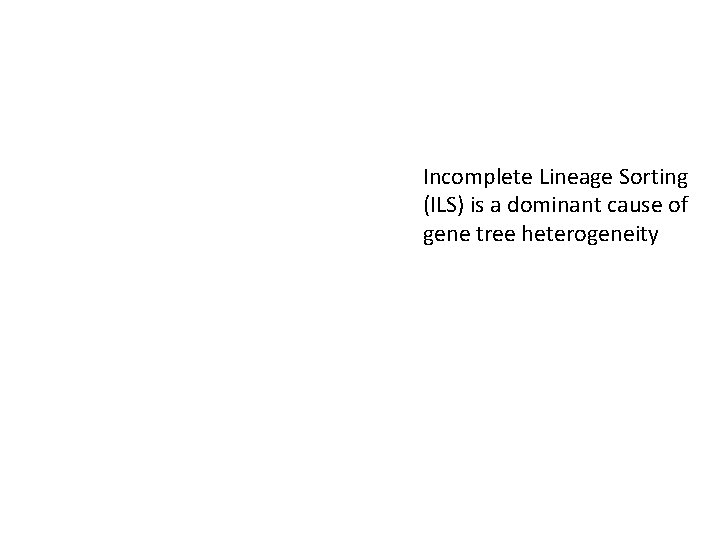 Incomplete Lineage Sorting (ILS) is a dominant cause of gene tree heterogeneity 