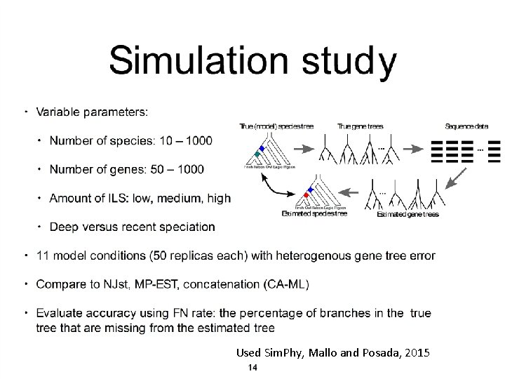 Used Sim. Phy, Mallo and Posada, 2015 