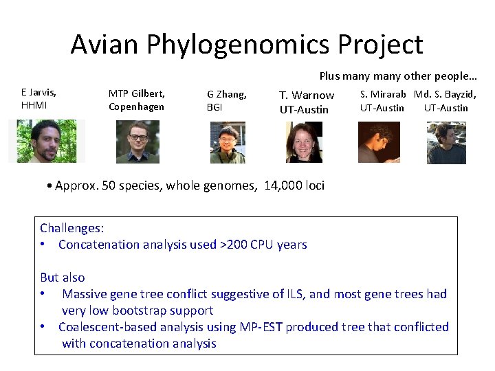 Avian Phylogenomics Project Plus many other people… E Jarvis, HHMI MTP Gilbert, Copenhagen G