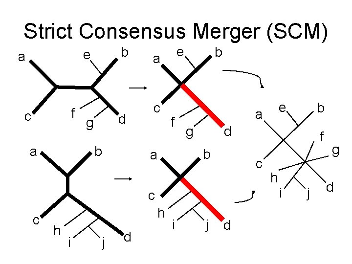 Strict Consensus Merger (SCM) b e a f c a d g b e
