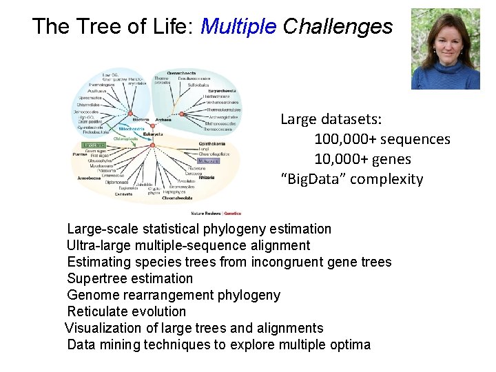 The Tree of Life: Multiple Challenges Large datasets: 100, 000+ sequences 10, 000+ genes