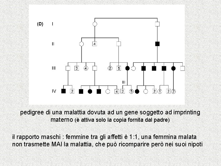pedigree di una malattia dovuta ad un gene soggetto ad imprinting materno (è attiva