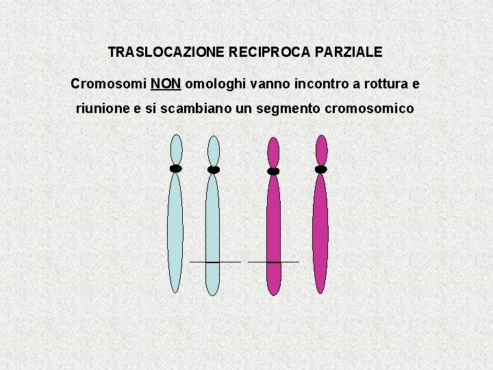 TRASLOCAZIONE RECIPROCA PARZIALE Cromosomi NON omologhi vanno incontro a rottura e riunione e si