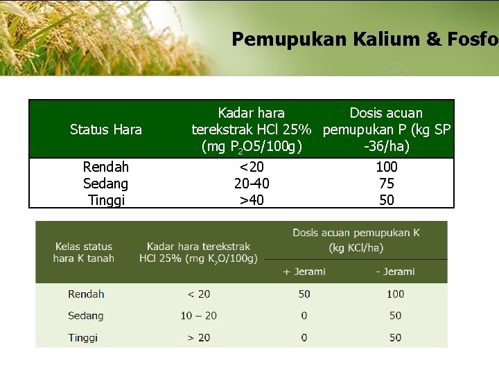 Pemupukan Kalium & Fosfo Status Hara Rendah Sedang Tinggi Kadar hara Dosis acuan terekstrak