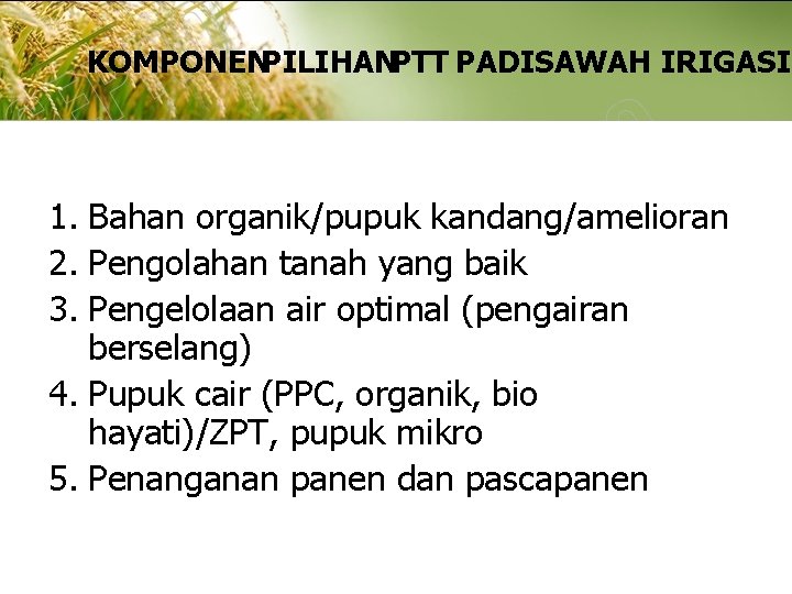 KOMPONENPILIHANPTT PADISAWAH IRIGASI 1. Bahan organik/pupuk kandang/amelioran 2. Pengolahan tanah yang baik 3. Pengelolaan