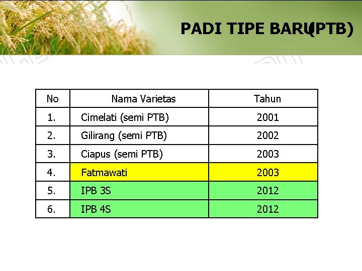 PADI TIPE BARU(PTB) No Nama Varietas Tahun 1. Cimelati (semi PTB) 2001 2. Gilirang