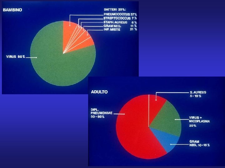 Schema a torte polmoniti in bambino e adulto 