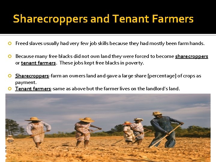 Sharecroppers and Tenant Farmers Freed slaves usually had very few job skills because they