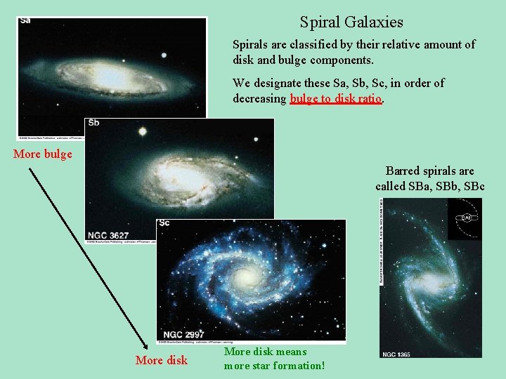 Spiral Galaxies Spirals are classified by their relative amount of disk and bulge components.