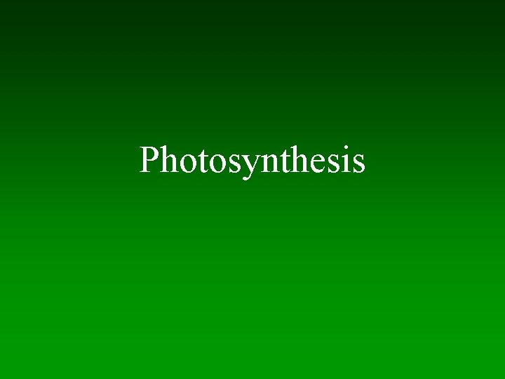 Photosynthesis 