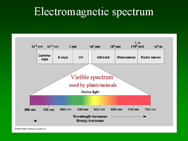 Electromagnetic spectrum Visible spectrum used by plants/animals 
