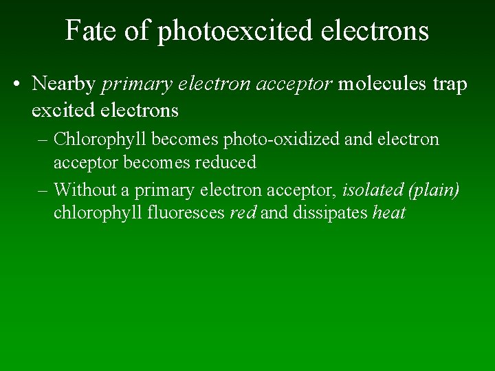 Fate of photoexcited electrons • Nearby primary electron acceptor molecules trap excited electrons –