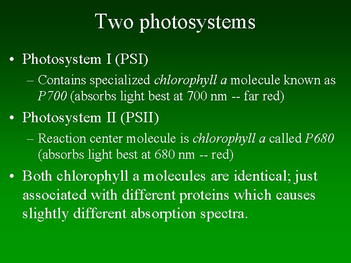 Two photosystems • Photosystem I (PSI) – Contains specialized chlorophyll a molecule known as