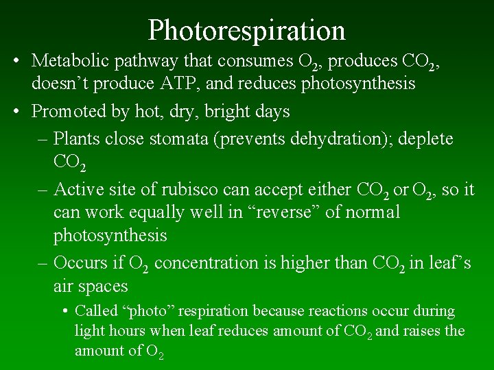 Photorespiration • Metabolic pathway that consumes O 2, produces CO 2, doesn’t produce ATP,