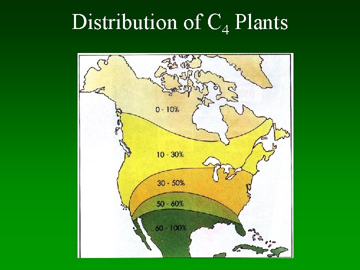 Distribution of C 4 Plants 