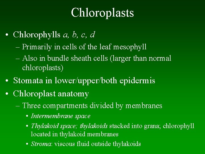 Chloroplasts • Chlorophylls a, b, c, d – Primarily in cells of the leaf