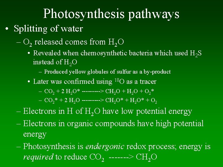 Photosynthesis pathways • Splitting of water – O 2 released comes from H 2