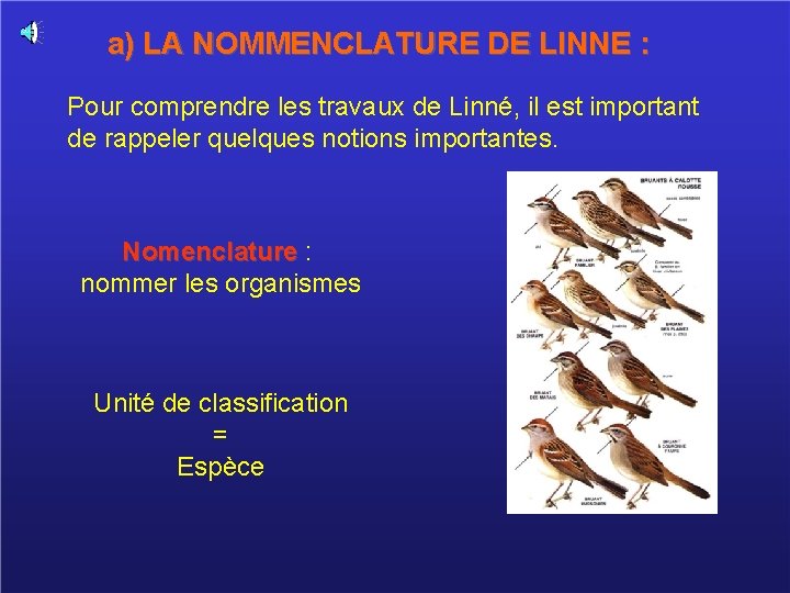 a) LA NOMMENCLATURE DE LINNE : Pour comprendre les travaux de Linné, il est