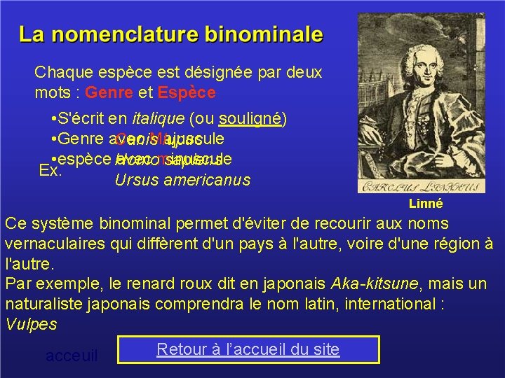 Chaque espèce est désignée par deux mots : Genre et Espèce • S'écrit en Chaque espèce est désignée par deux mots : Genre et Espèce • S'écrit en