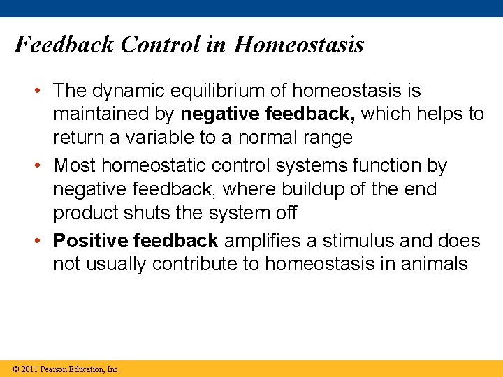 Feedback Control in Homeostasis • The dynamic equilibrium of homeostasis is maintained by negative