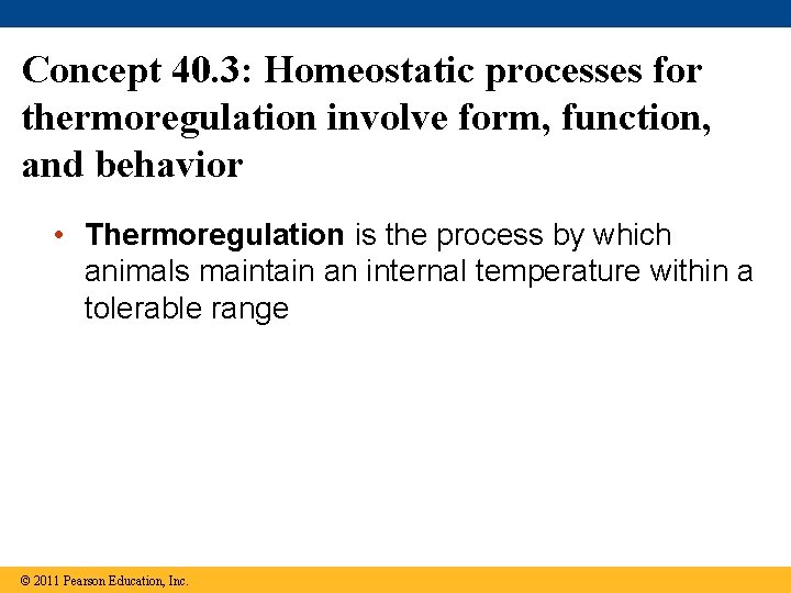 Concept 40. 3: Homeostatic processes for thermoregulation involve form, function, and behavior • Thermoregulation