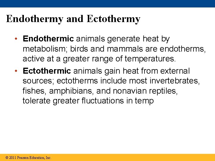 Endothermy and Ectothermy • Endothermic animals generate heat by metabolism; birds and mammals are