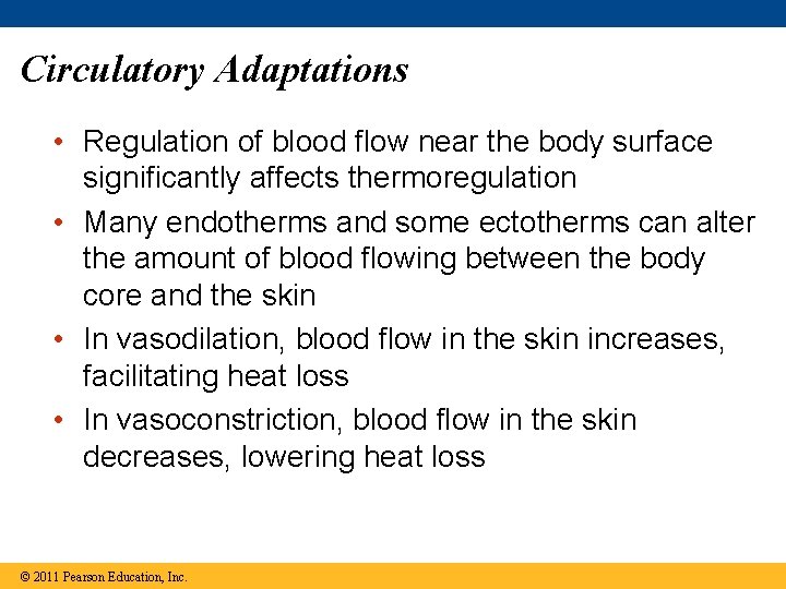 Circulatory Adaptations • Regulation of blood flow near the body surface significantly affects thermoregulation