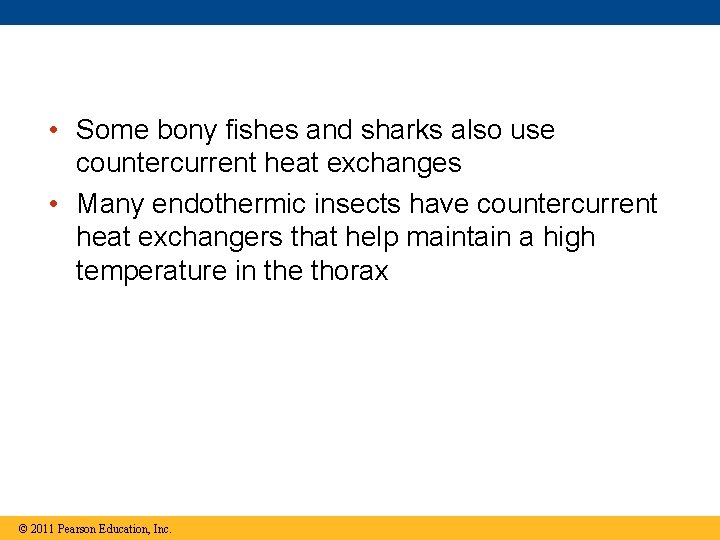  • Some bony fishes and sharks also use countercurrent heat exchanges • Many