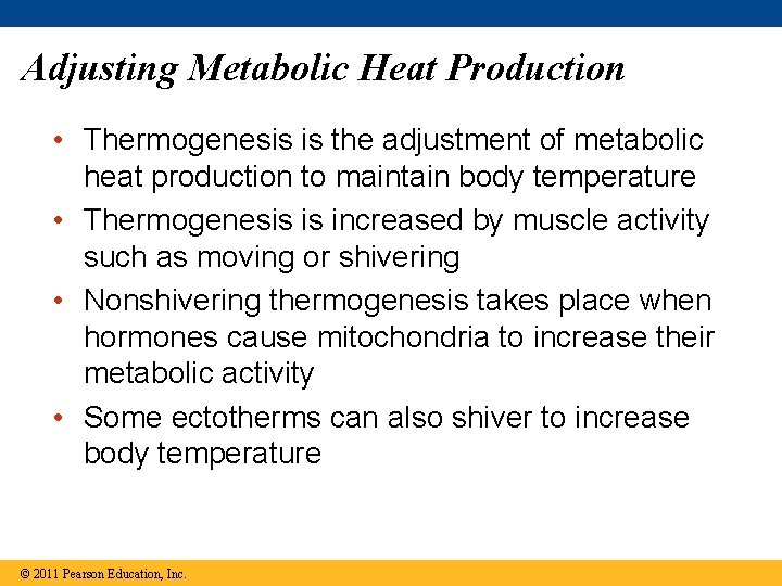Adjusting Metabolic Heat Production • Thermogenesis is the adjustment of metabolic heat production to