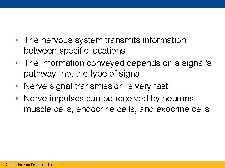  • The nervous system transmits information between specific locations • The information conveyed