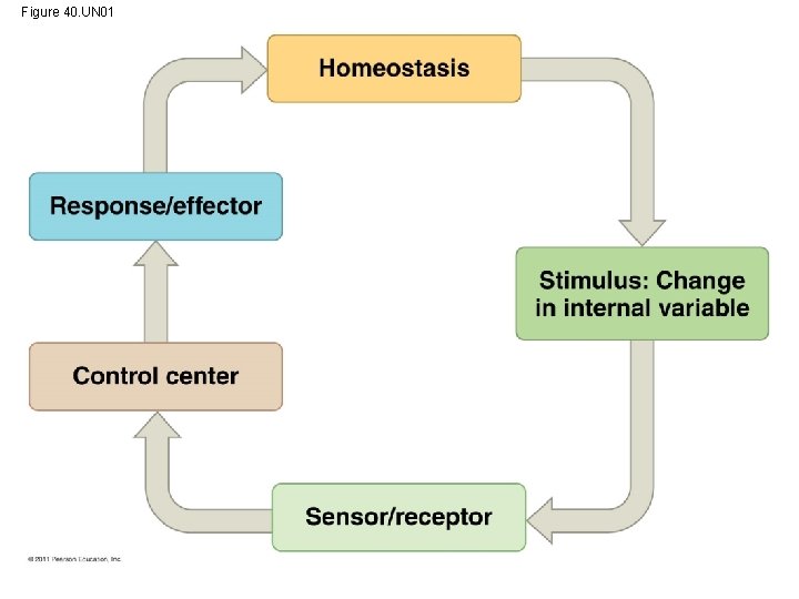 Figure 40. UN 01 