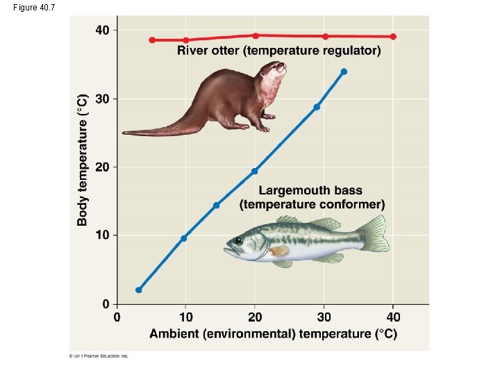 Figure 40. 7 