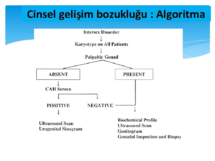 Cinsel gelişim bozukluğu : Algoritma Cinsel gelişim bozukluğu : Algoritma