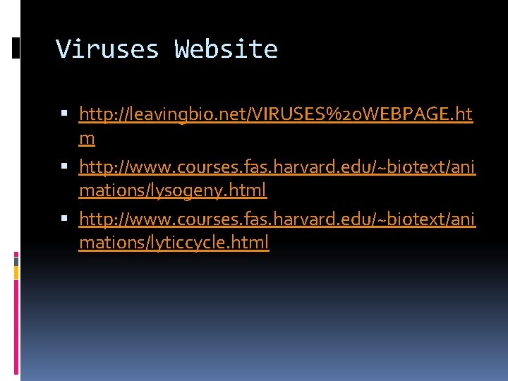 Viruses Website http: //leavingbio. net/VIRUSES%20 WEBPAGE. ht m http: //www. courses. fas. harvard. edu/~biotext/ani