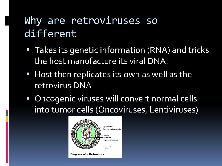 Why are retroviruses so different Takes its genetic information (RNA) and tricks the host