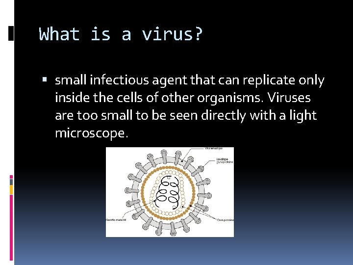 What is a virus? small infectious agent that can replicate only inside the cells