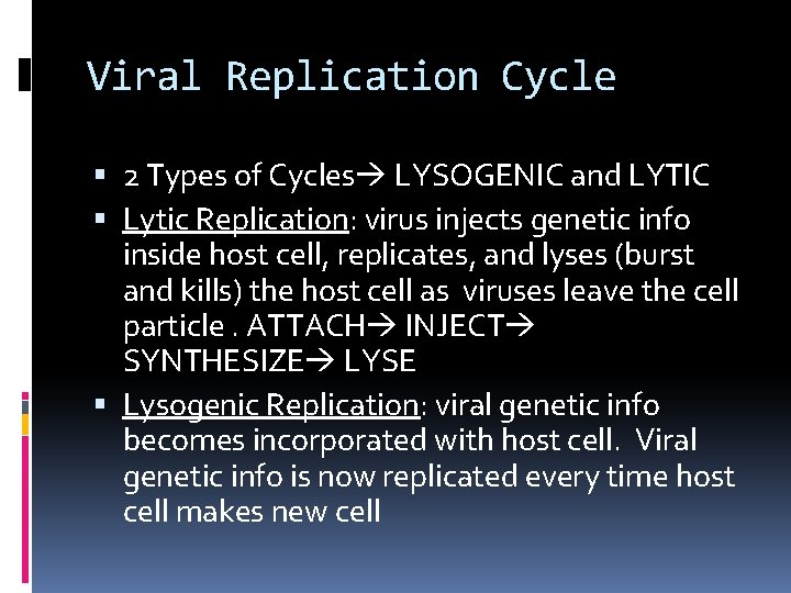 Viral Replication Cycle 2 Types of Cycles LYSOGENIC and LYTIC Lytic Replication: virus injects