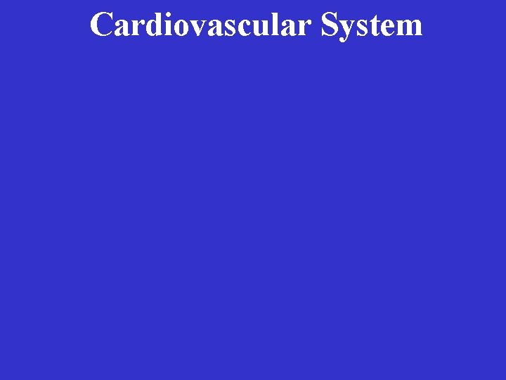 Cardiovascular System 