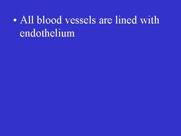  • All blood vessels are lined with endothelium 