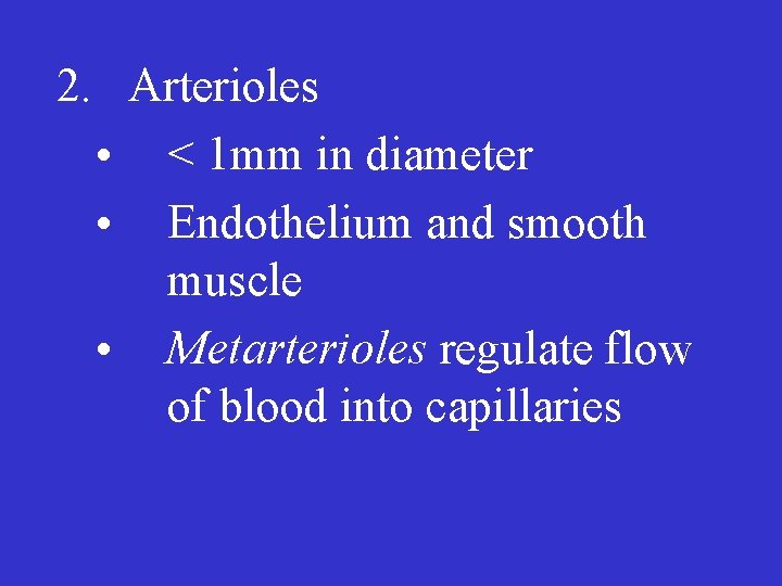 2. Arterioles • < 1 mm in diameter • Endothelium and smooth muscle •